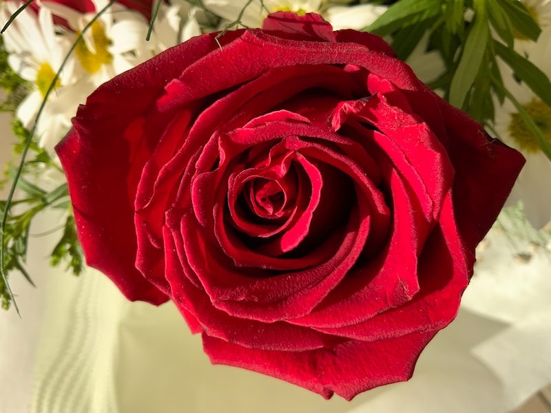 Hediye Paketleme Hediye Paketleme