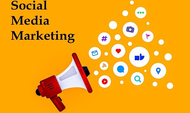 SEO ve Sosyal Medya Paketleri SEO ve Sosyal Medya Paketleri